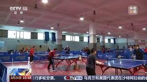 世界杯官网登录 乒乓球台填量词
